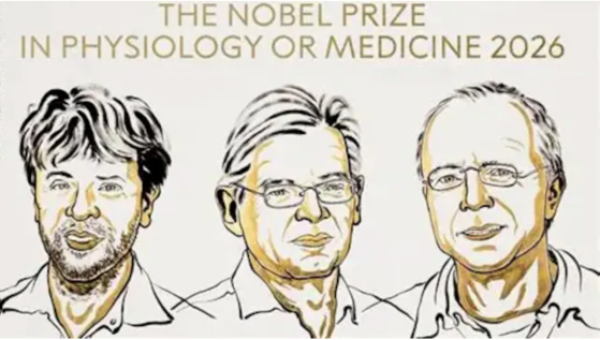 nobel-immagine-